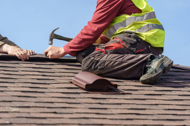 Best Storm Damage Roof Repair  in Brownlee Park, MI