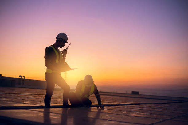 Best Sealant for Roof  in Brownlee Park, MI