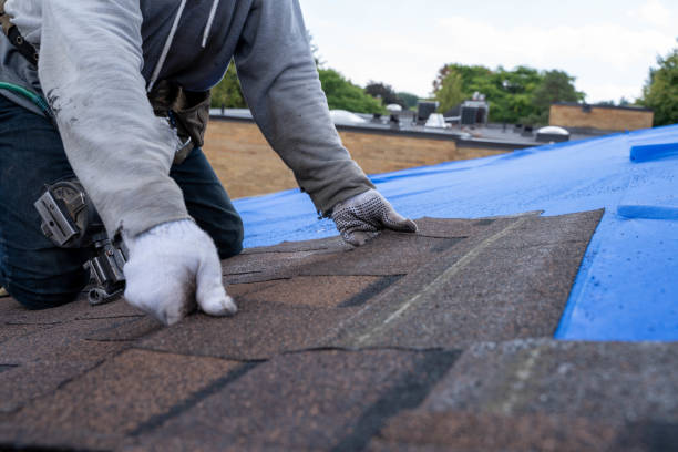 Best Shingle Roofing Installation  in Brownlee Park, MI