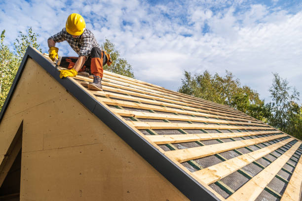 Best Roof Restoration Services  in Brownlee Park, MI