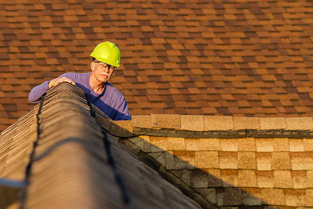 Best Heating Cable for Roof Installation  in Brownlee Park, MI