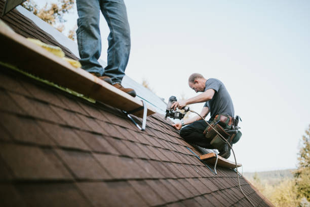 Best Roof Gutter Cleaning  in Brownlee Park, MI