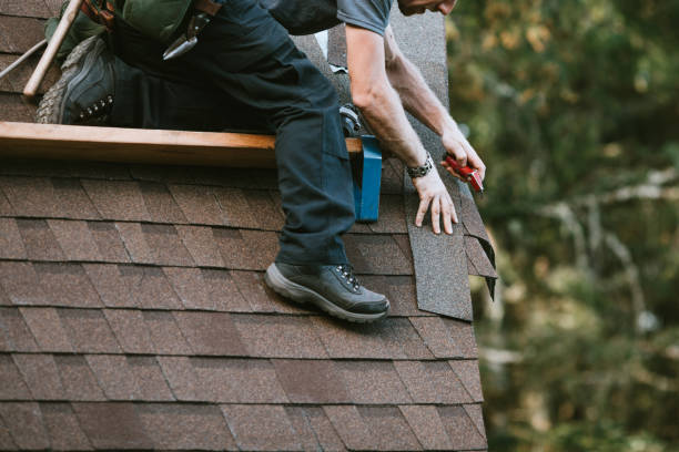 Best Affordable Roof Replacement  in Brownlee Park, MI