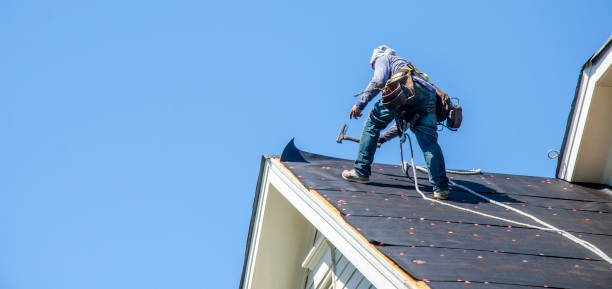 Best Flat Roof Repair Services  in Brownlee Park, MI